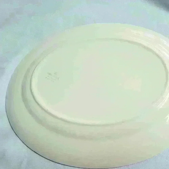 Vintage Homer Laughlin Serving Platter  F50N6 - Picture 2 of 3